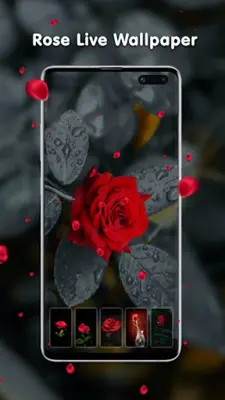 Transparent Live Wallpaper android App screenshot 4